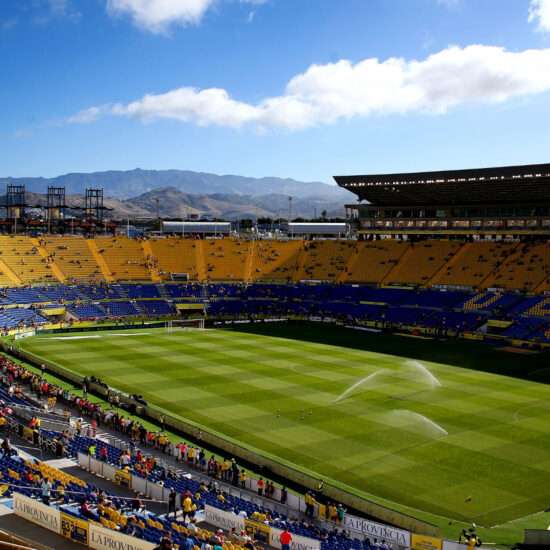 Me gusta el futbol Your Canary Friend