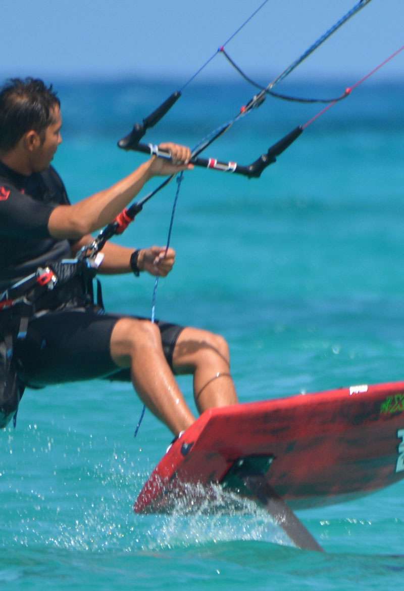 Pack Jiribilla. Your Canary Friend