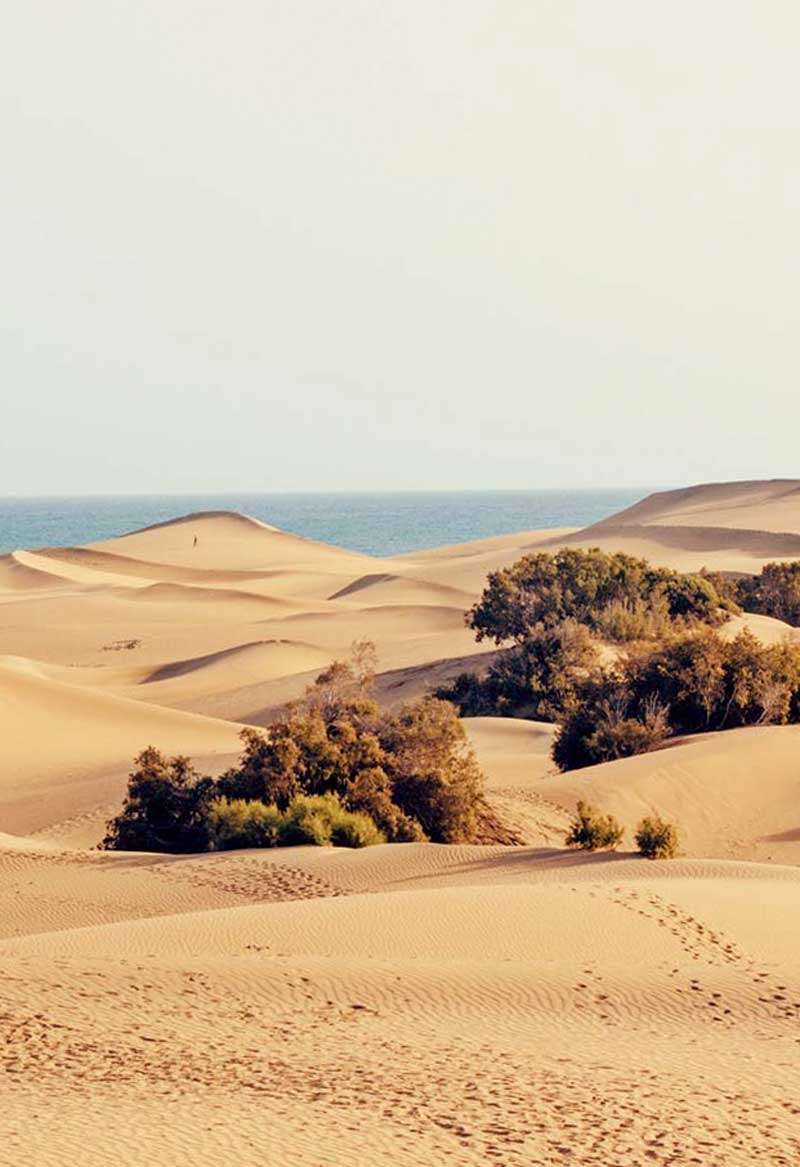pack Relax relájate en Gran Canaria.