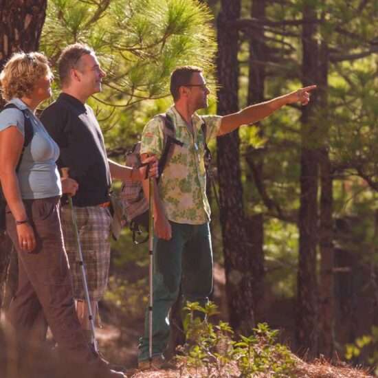 Aventuras en Gran Canaria con Your Canary Friend.